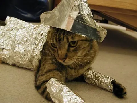 Cat fully wrapped in foil