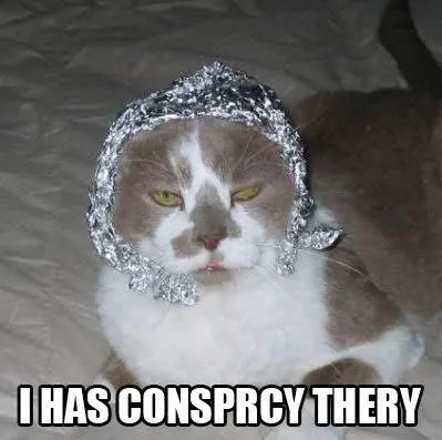 I has conspiracy theory cat