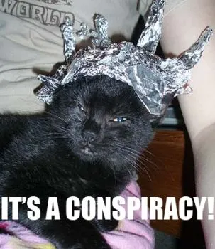 It's a conspiracy cat